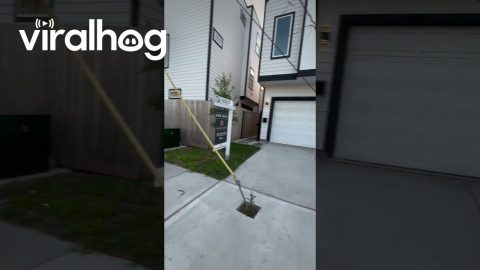 Utility Lines Block Driveway || ViralHog