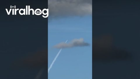Watched the Artemis II Launch From My Balcony || ViralHog
