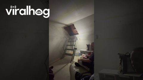 Inside a Storm Shelter as a Tornado Passes Overhead in Oklahoma || ViralHog