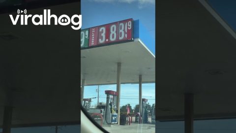 Watching Gas Prices Rise In Real Time || ViralHog