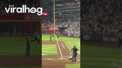 Running Fan Interrupts Arizona Baseball Game || ViralHog