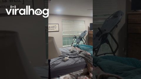 Severe Hail Storm Breaks Window || ViralHog