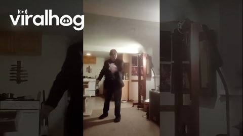 Magician Tests Out a New Trick With a Dove || ViralHog