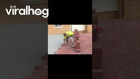 This Is How You Lay Bricks || ViralHog Shorts
