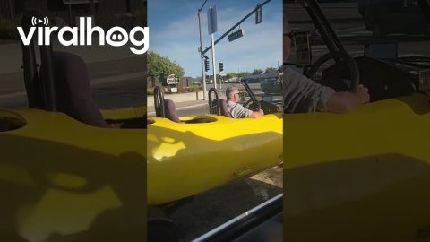 Banana Car Spotted on Road || ViralHog