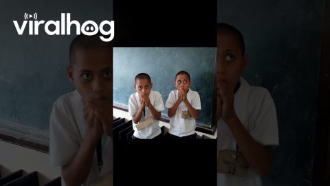 Beat Boxing Twins || ViralHog Shorts