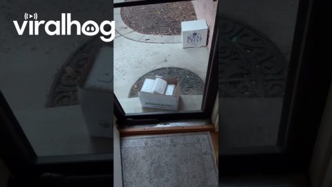 Frustrating Food Delivery Placement || ViralHog