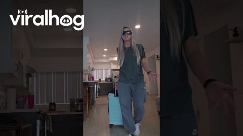 Sister Comes Along In Suitcase || ViralHog
