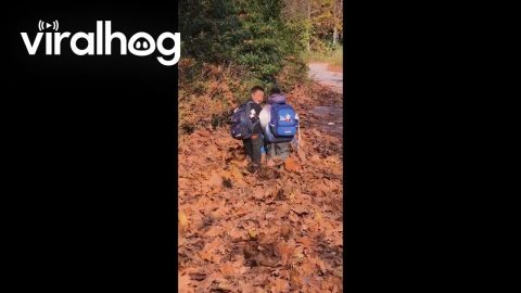 Schoolchildren Tromp Through Fallen Leaves || ViralHog