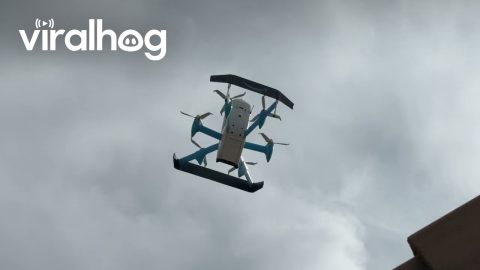 Package Delivery via Drone || ViralHog