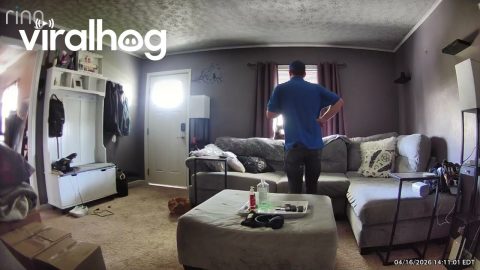 House Inspector Caught Calling Friend About Homeowner's Cat || ViralHog
