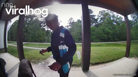 Roux the 140lb Doberman Makes Friends With Amazon Driver || ViralHog
