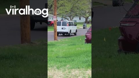 Kroger Employees Push Massive Train of Carts 6 Blocks Back to Store || ViralHog