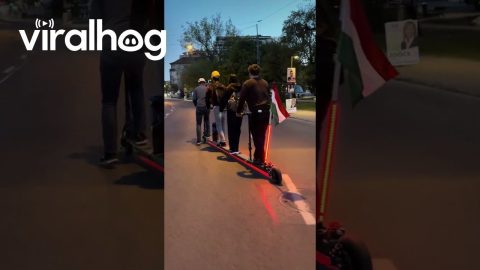 Four Guys Ride Tandem Scooter || ViralHog