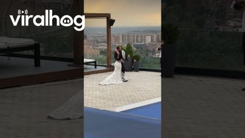 Couple Falls Over When Groom Gets Tangled In Bride's Long Veil || ViralHog