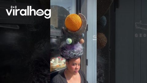 Solar System Hair Piece || ViralHog