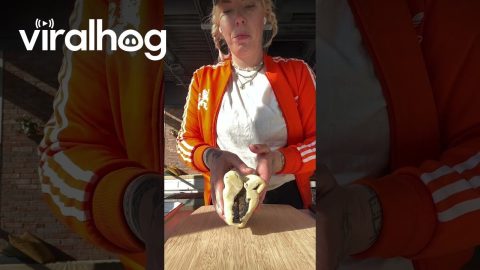 Arthur Slice and Bake Cookie Roll || ViralHog
