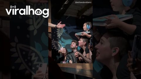 Kid at Concert Tells bbno$ Crowd He Loves His Mom || ViralHog
