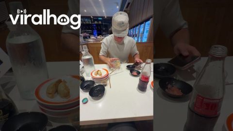 Progressively Worse Dumpling Fumble || ViralHog