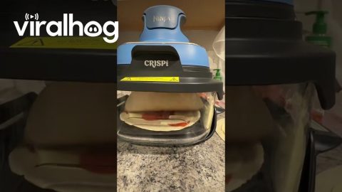 Tortilla Dances Inside Air Fryer || ViralHog