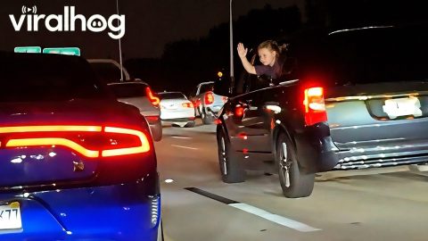 Kids Make Driver Rev Engine in Traffic || ViralHog