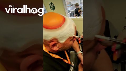 Painting a Perfect Fried Egg on a Bald Head || ViralHog