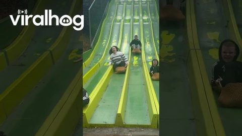 Catching Air on the Slide || ViralHog