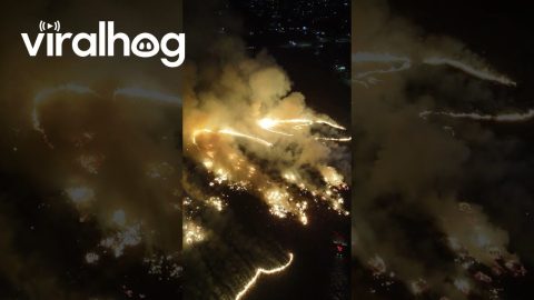 Aerial Footage of Fire Near Bakersfield, California || ViralHog