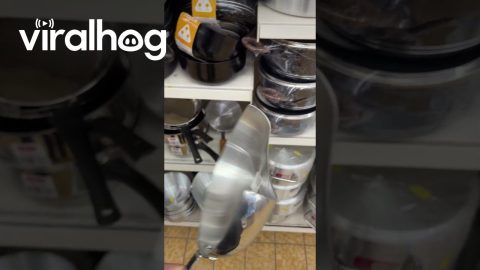 Frying Pan’t || ViralHog