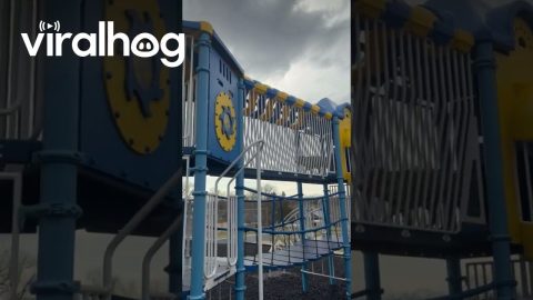 Our Dog Is Obsessed With Slides || ViralHog