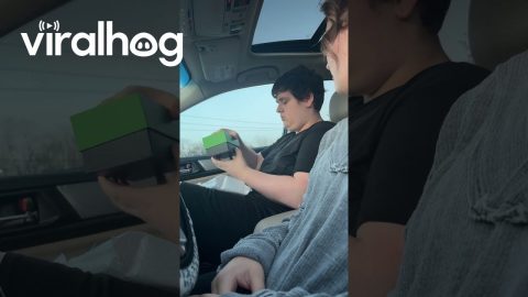 Woman Gifts Her Brother a New Phone || ViralHog