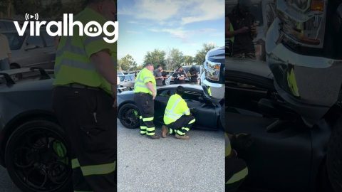 Aftermath of Lifted Truck Driving Over Luxury Sportscar || ViralHog
