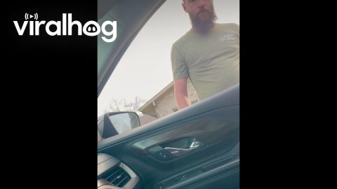 Mom Surprises Dad With Baby Sheep || ViralHog