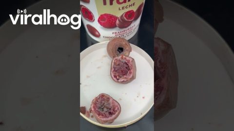 Mold Found Inside Frozen Raspberry Treats || ViralHog