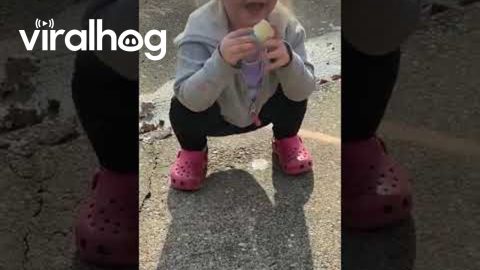 Unicorn Chalk || ViralHog