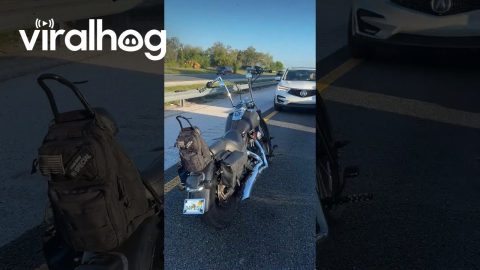 State Trooper Stops Driver Going Wrong Way Down Shoulder In Locked Traffic || ViralHog
