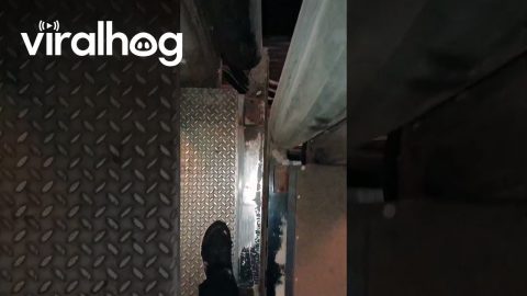 Standing Between Two New Jersey Transit Train Cars Going Around a Sharp Bend || ViralHog