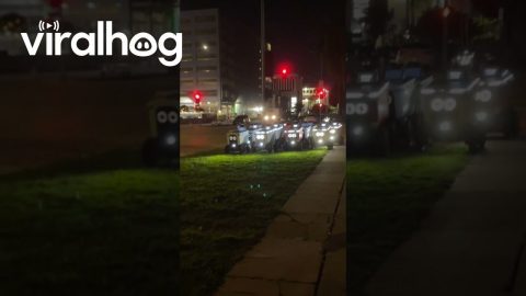 Followed a Food Delivery Robot to a Little Robot Gathering || ViralHog