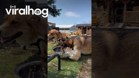 Wrong Way to Drink Water || ViralHog