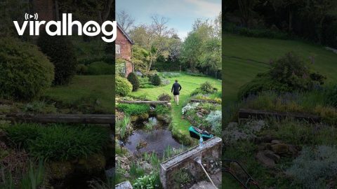 Accidental Plunge During Gardening Timelapse || ViralHog