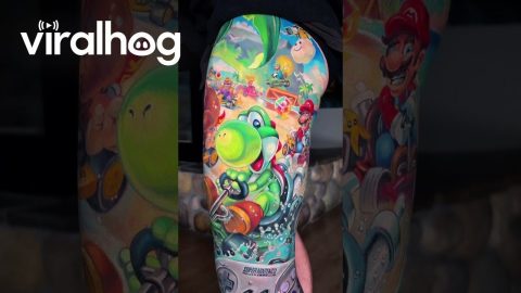 Mario Kart Leg Sleeve || ViralHog