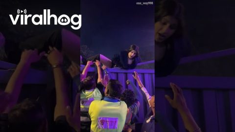 Woman Climbs Entry Gates of Concert || ViralHog