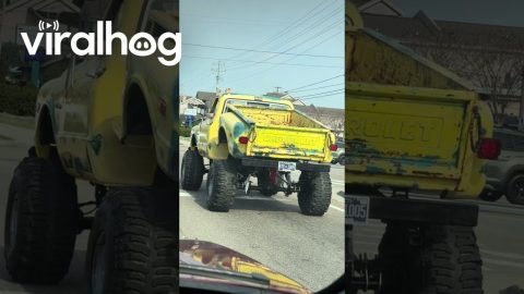 Chevy Truck With American Flag || ViralHog