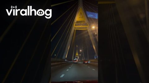 Emojis Help Cut Speed in Bangkok || ViralHog