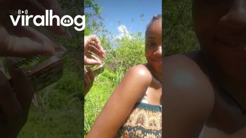 Nature's Tattoo || ViralHog