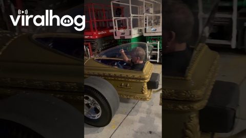 Butch Patrick Driving by in a Coffin Car at Spooky Empire 2025 || ViralHog