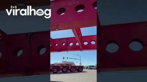 Oversized Transport Convoy Moves Through Colorado || ViralHog
