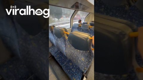 Transforming Train Seats in Australia || ViralHog