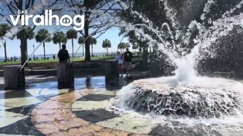 Dog Enjoys Biting Every Spout at Splash Pad || ViralHog