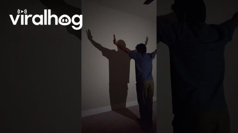 Father Daughter Dancing Shadow || ViralHog